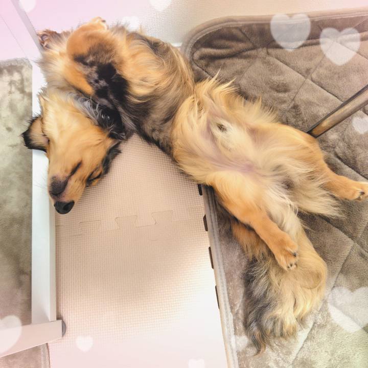 8c369482 37dc 4155 b72a 91fc273782e8 1715769185324