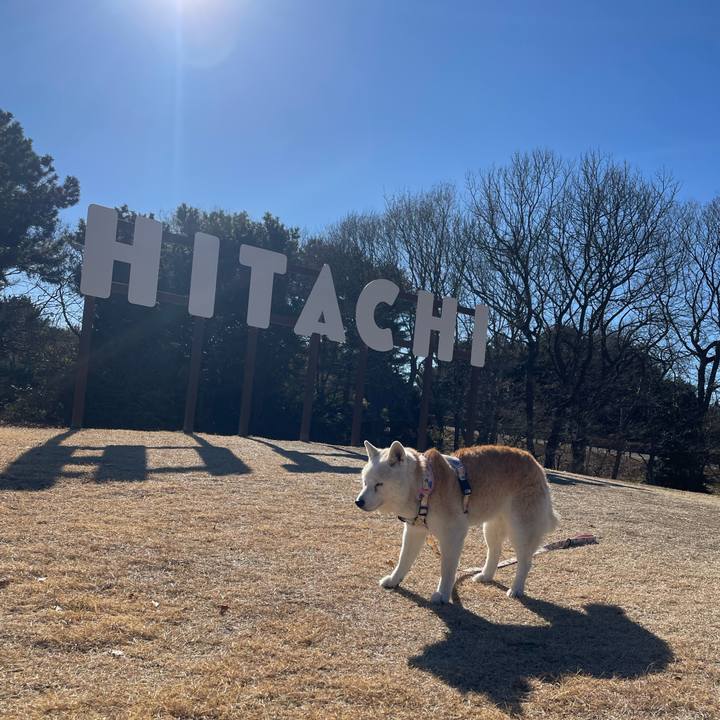 8c36a8b7 104f 4830 a611 1cab170a90c5 1735793438249