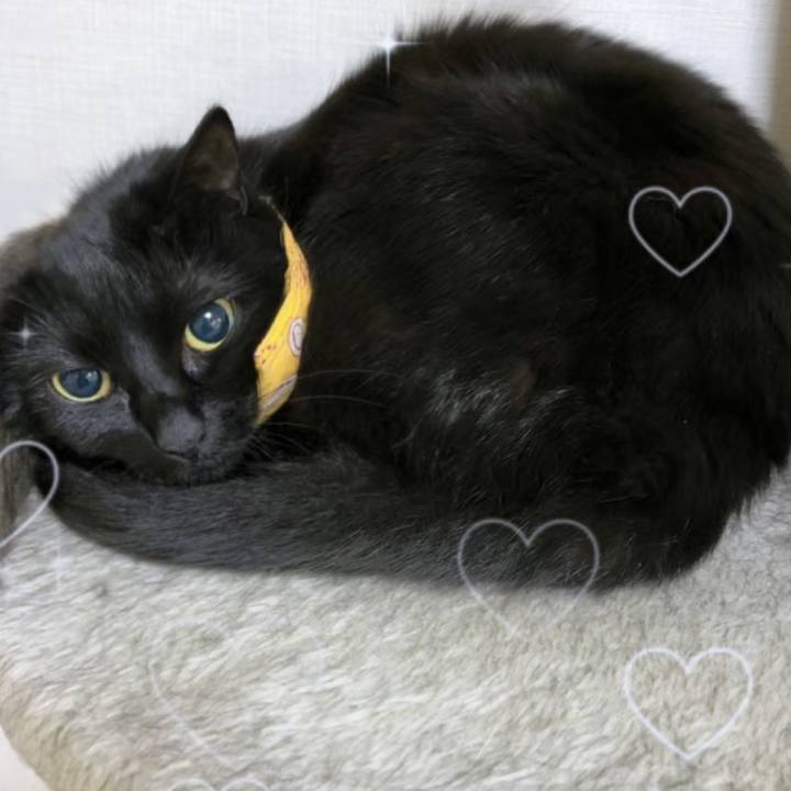 8c36c450 b5fc 4ebb acf0 e672db393f94 1769866422760