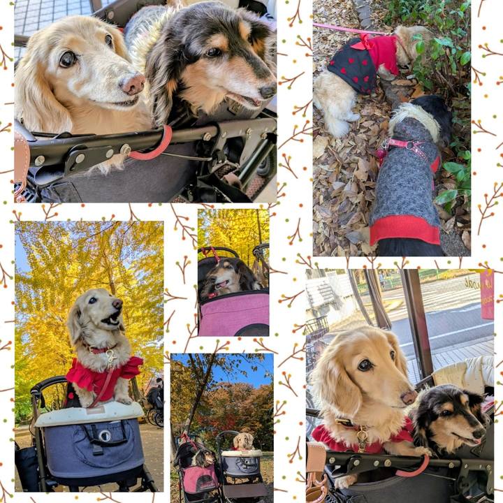 8c36c772 26aa 4730 8f17 60a8009999d9 1763206496303