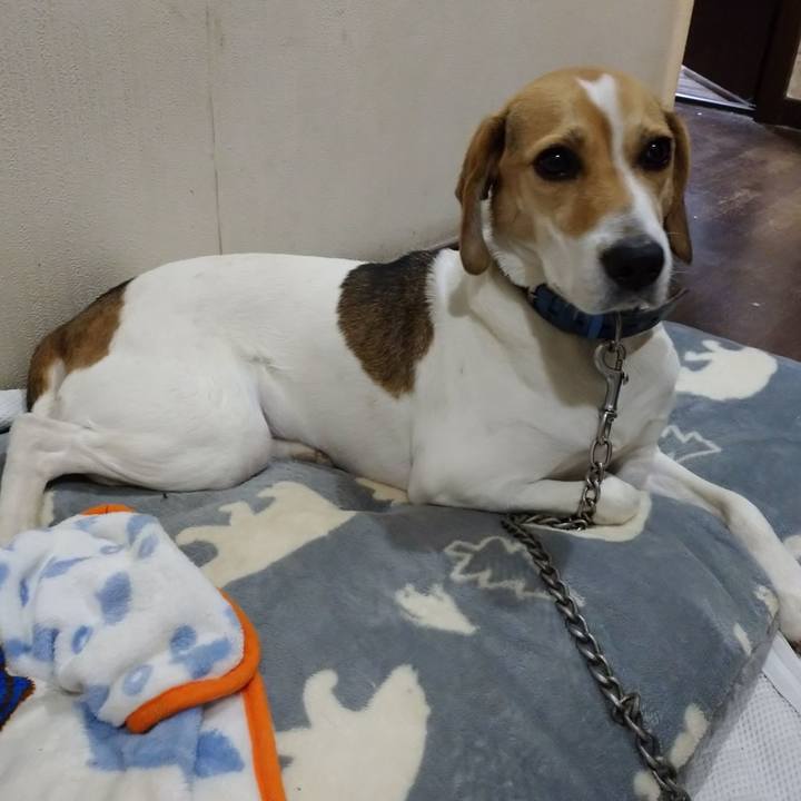 8c3745fd d84b 4e46 973b de3f0ca406fd 1607773743607