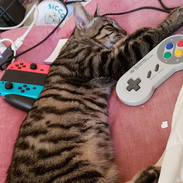 8c37748b bb31 4cd6 81f2 6a5ac7f9c360 1542167294799