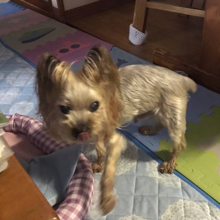 8c377aa8 e9ef 447a 8bae cf7144a8f305 1659261811035