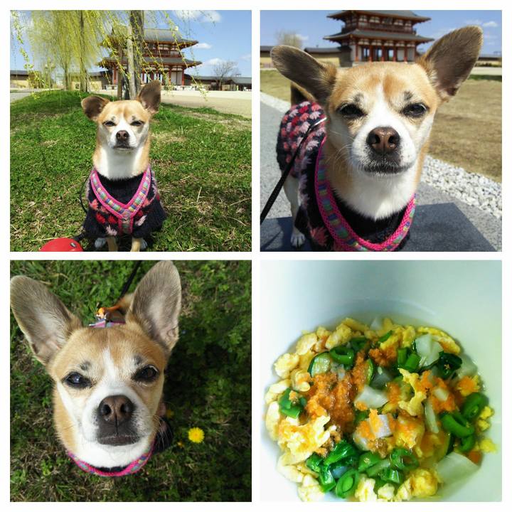 8c379546 02b3 4be3 beea 5986e0f28b94 1615712024080