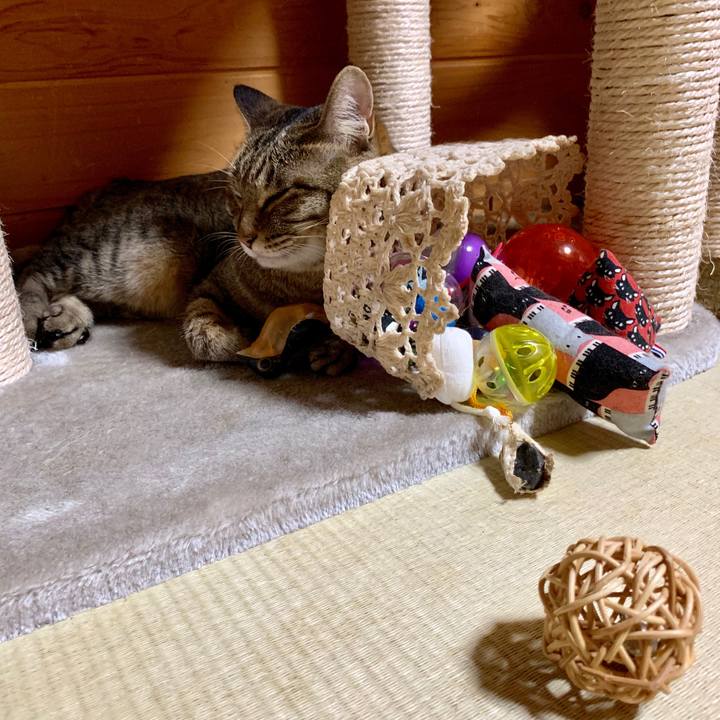 8c37ac20 82f8 46a6 9f09 c2e46f52e513 1563371009493