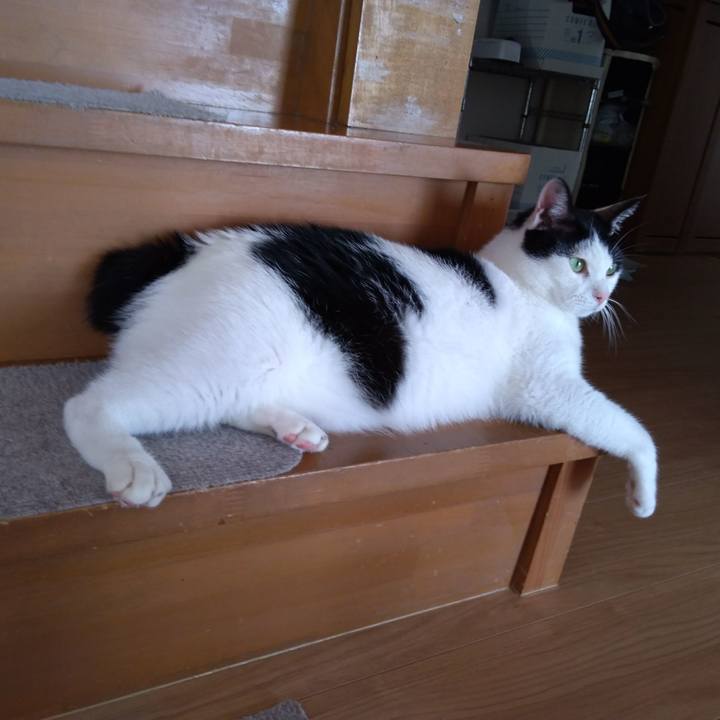 8c37d71e 80f6 45b4 90d9 4240789aee8f 1535370377961