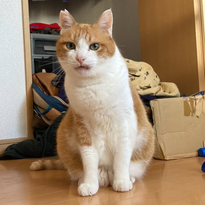 8c37e22c acfa 43fd be6c c2ec2fd3b934 1758953494772