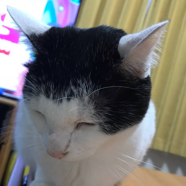 8c3826a4 5a6e 4b13 8cad 319c13d77ad9 1540478175600