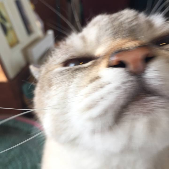 8c383c26 a63c 49d0 a015 eef1c63e1ceb 1565310976563