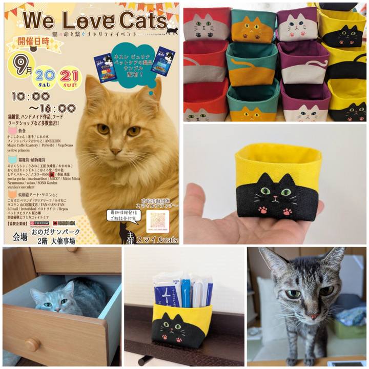 8c385cb7 2cfa 4415 b241 54f3b8eb6559 1757669644082