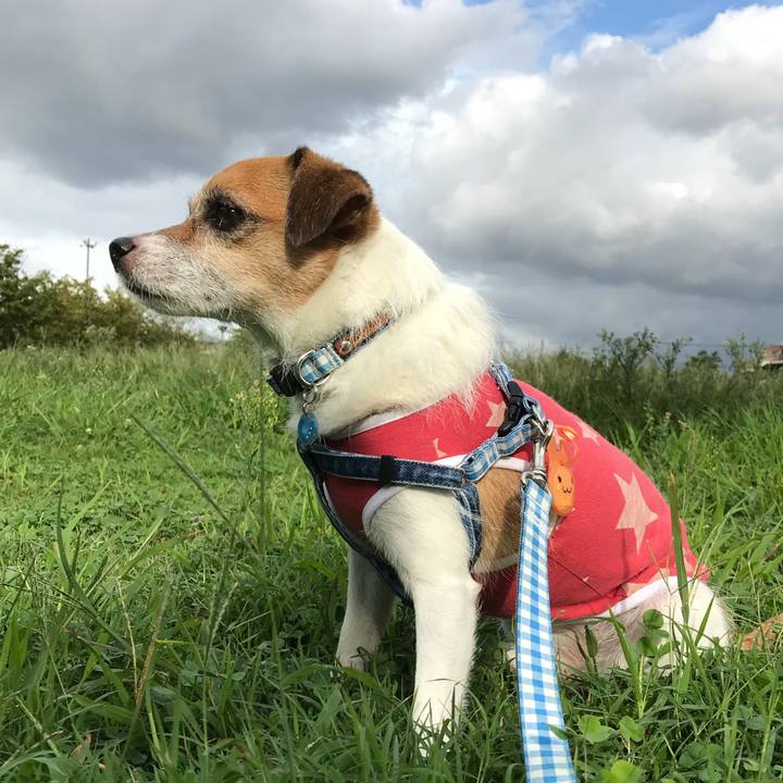 8c388fa2 5279 4312 8856 2f492e9419d8 1536910579942