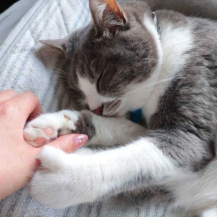 8c38a98e ee58 4a15 b0ef 2e6953b85be5 1715129990371