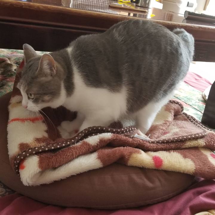 8c39139d 2d2a 4df3 863a a6bfdff24954 1525263392902