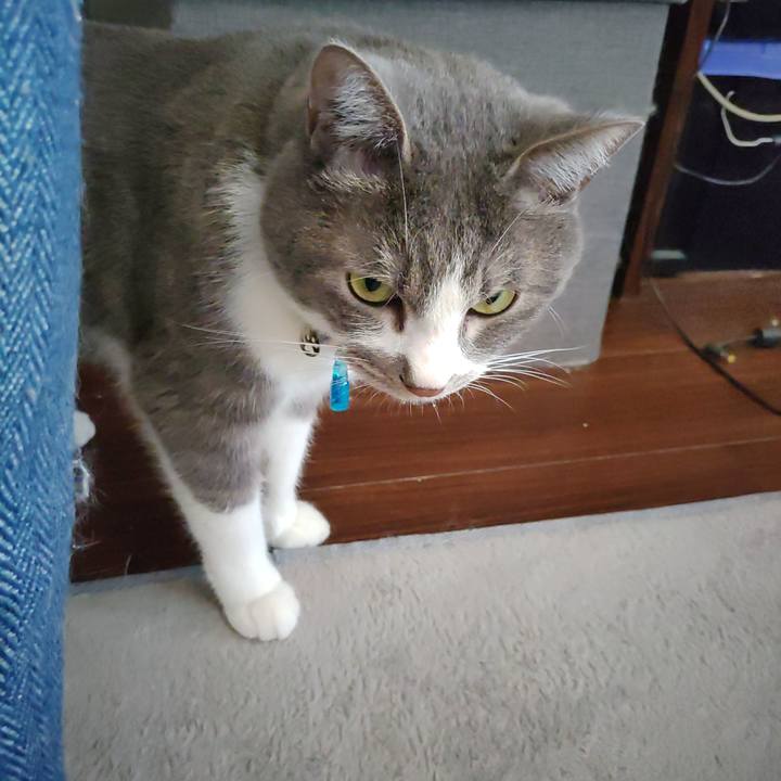 8c391d0b 788d 4cee 831e 0cbdf8487b7b 1682633100831