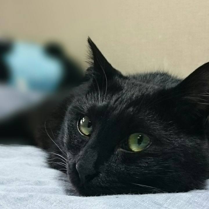 8c392d93 7afd 40ba a40c 5981603f0697 1527728548638