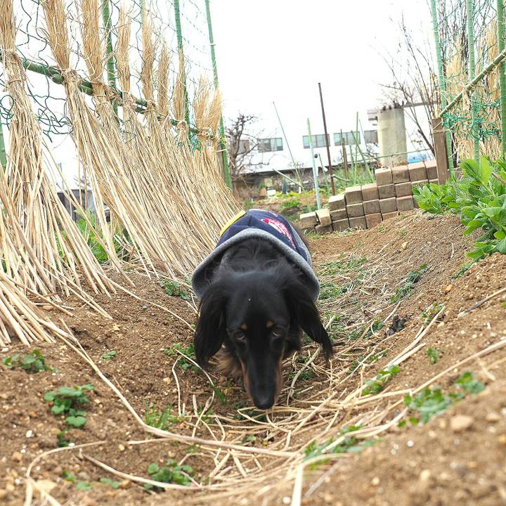 8c39433d f3d9 4de0 a3c1 7f07db98d06a 1551242154413