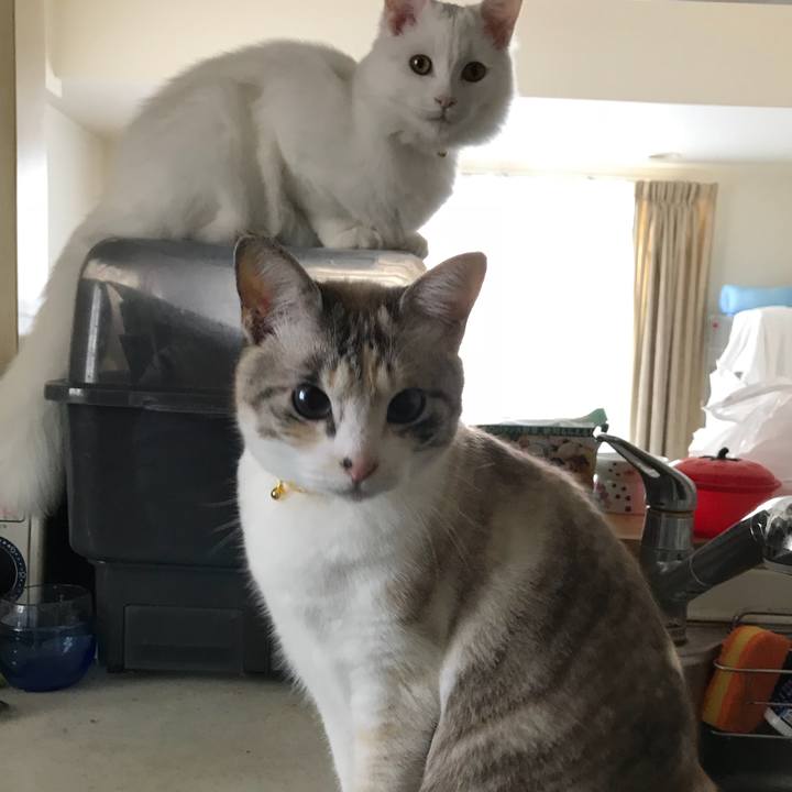 8c394bbd 1e5d 41f1 85a2 8524ae4ed6d8 1518831920359