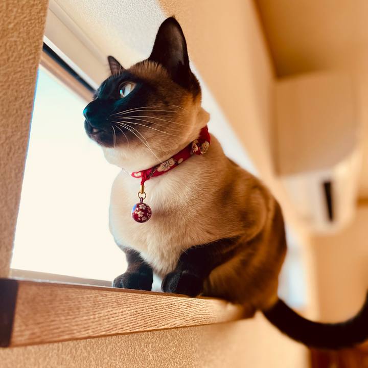 8c396812 5fc0 4c72 9421 40b4f31b541b 1737185815892