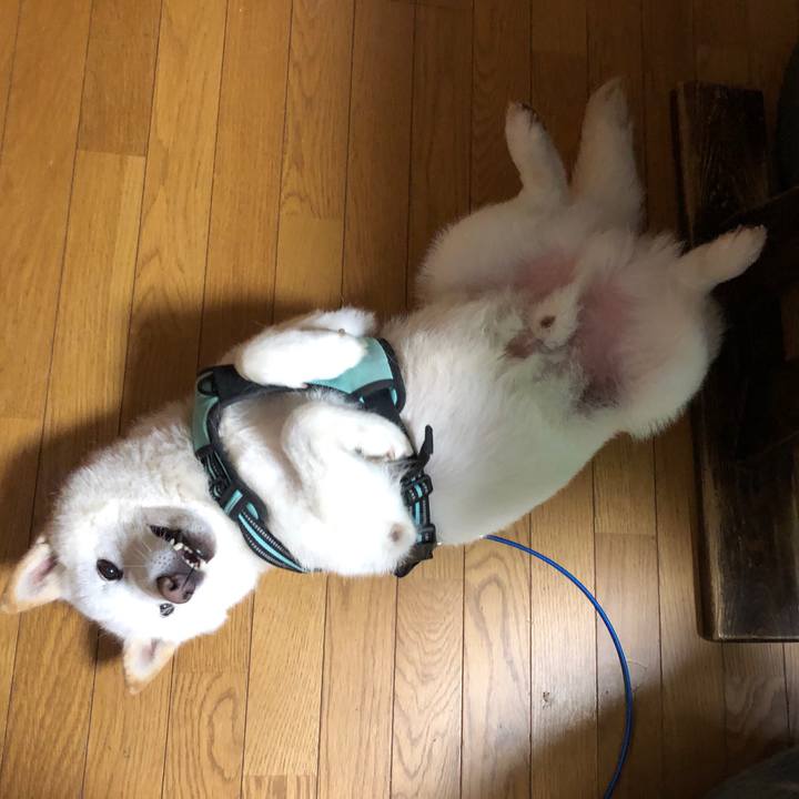 8c397732 f865 4d2d 9627 23b4138f7ad5 1686780580168