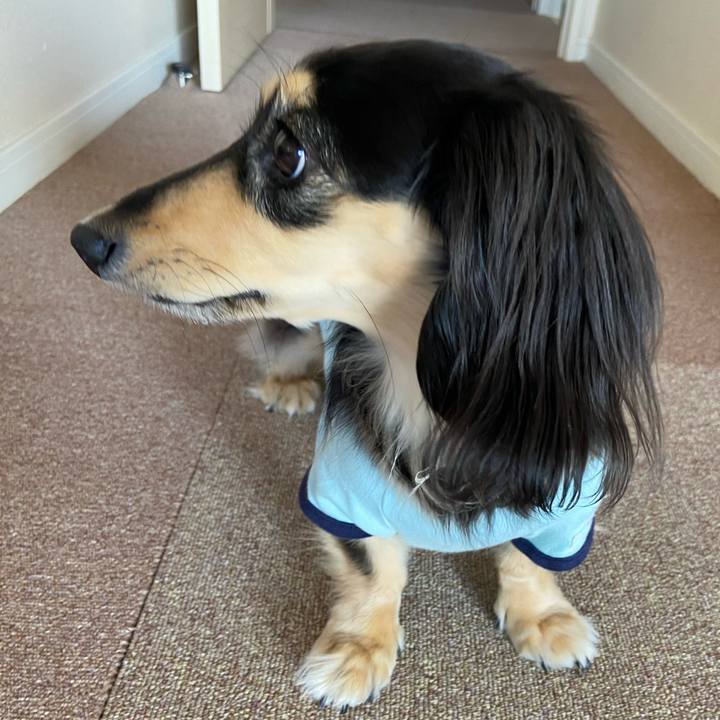 8c399abb 5b57 4e14 861e bc7878dc1689 1743812949622