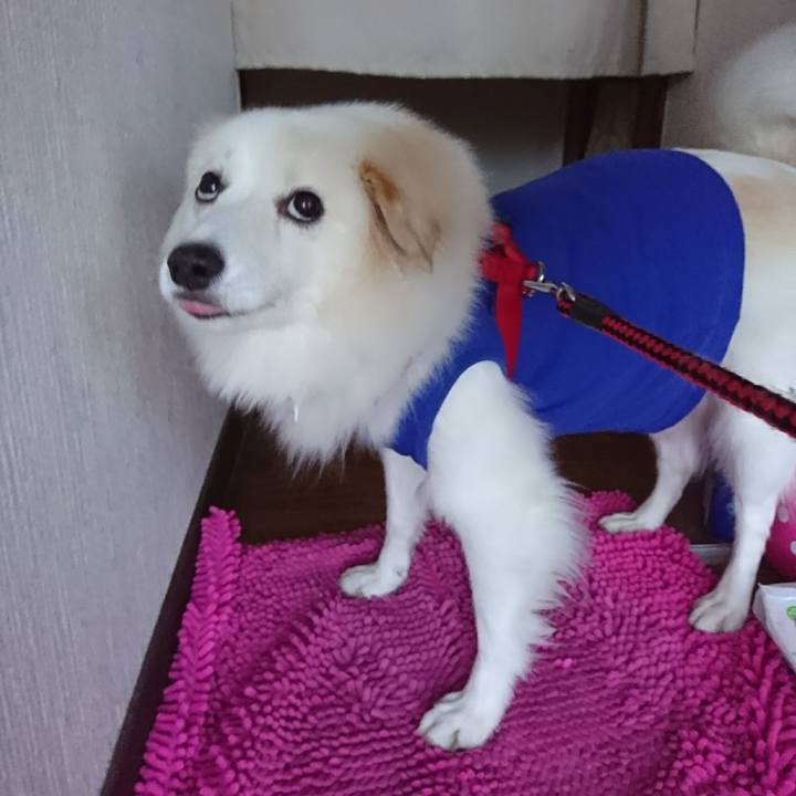 8c3a59d0 89c9 4003 8c33 fef3dd986bcc 1512078759646