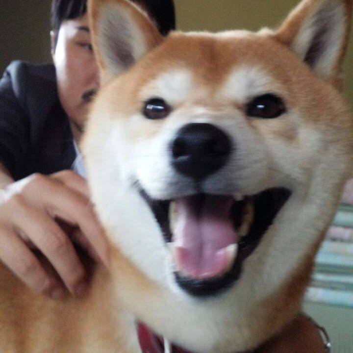 8c3aec02 ae86 47a2 96de b90d777b8487 1644887009194