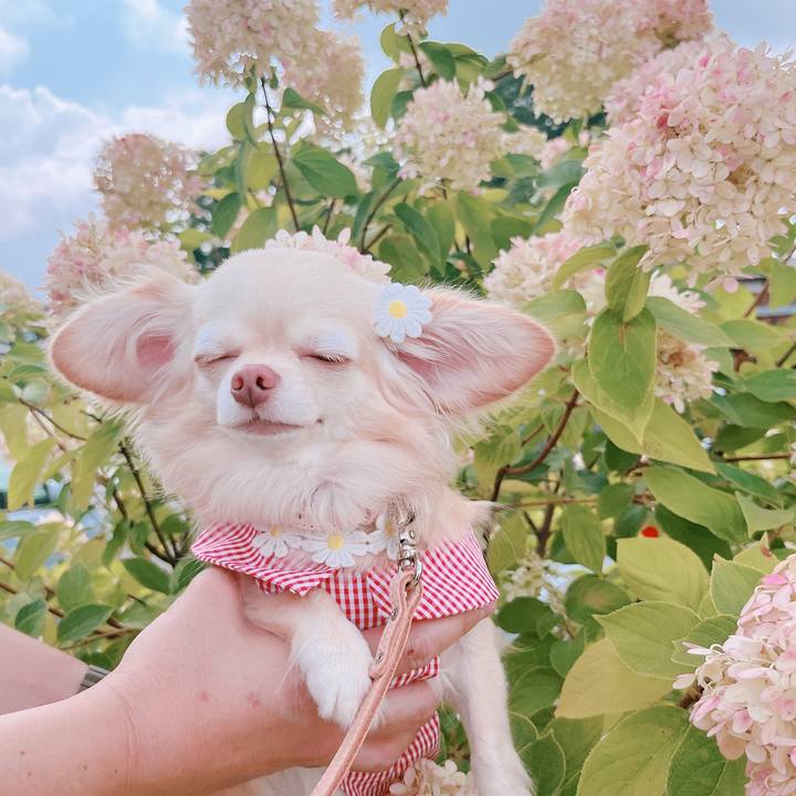 8c3b5a2b fd58 48ed 9fbf c5b1a833c04f 1662282323570