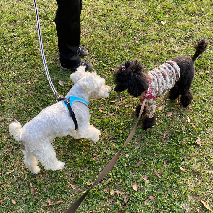 8c3bafc6 0e32 4e80 91ee e09625c0d90c 1635067117083