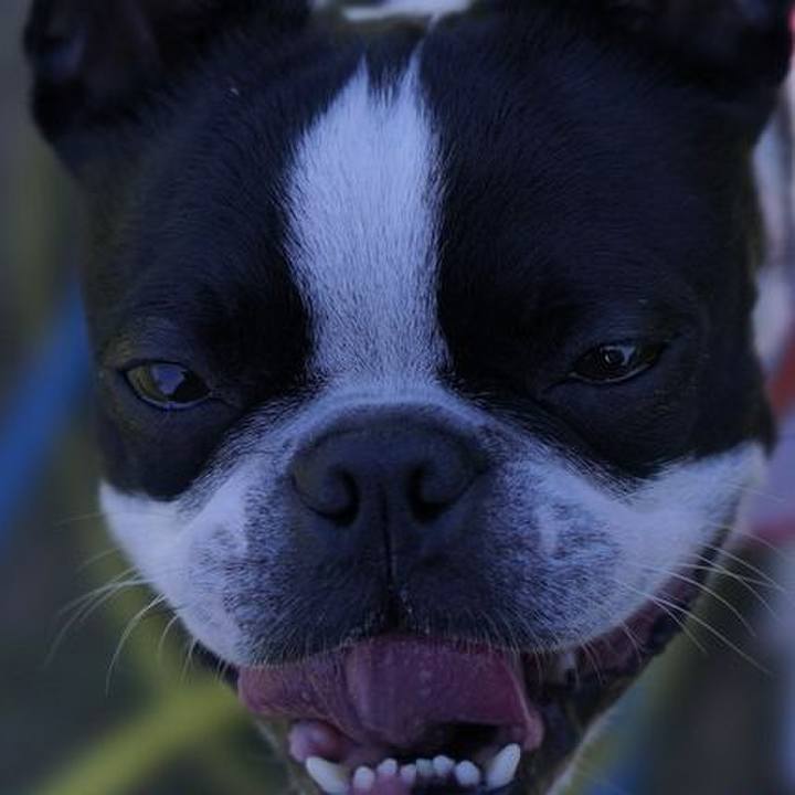 8c3bcfd3 bc1d 4232 848e 363e54b0c8b6 1526044444253