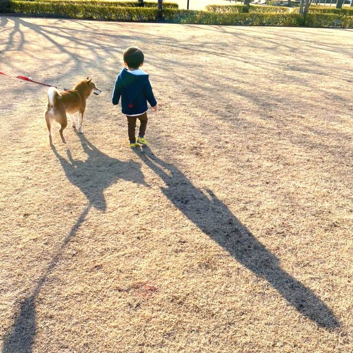 8c3bf273 2f10 4d5c afd3 e31db6444912 1613042452313