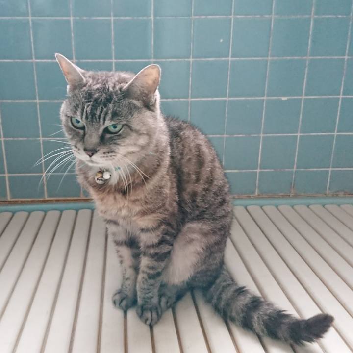 8c3bf775 8f01 45ec be97 8a84b7597b56 1569880146549