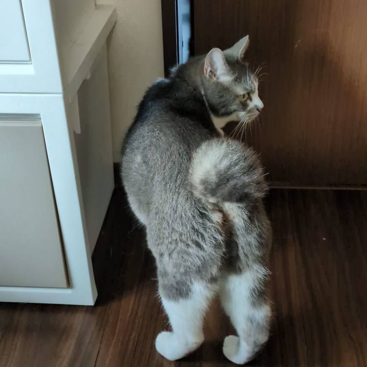 8c3c188f 6b7e 442c b679 addc18c1d5fe 1753345319392