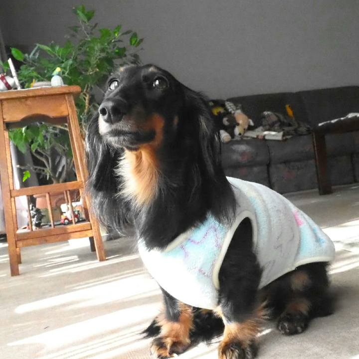 8c3c4b88 6a7a 4148 b90a 6ddce8855f46 1545616373362