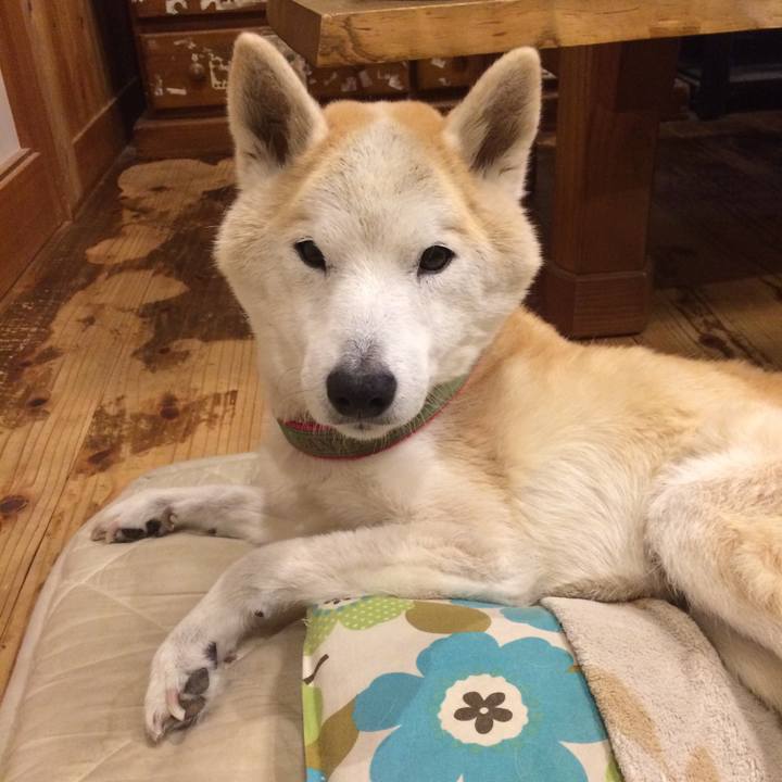 8c3c520b e876 457d abc6 b70a07a55629 1578217754625