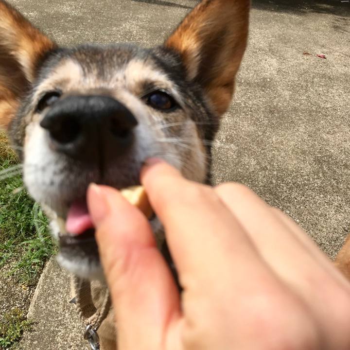 8c3c54e4 ad50 44a1 afb9 a78941255ab0 1528333219555