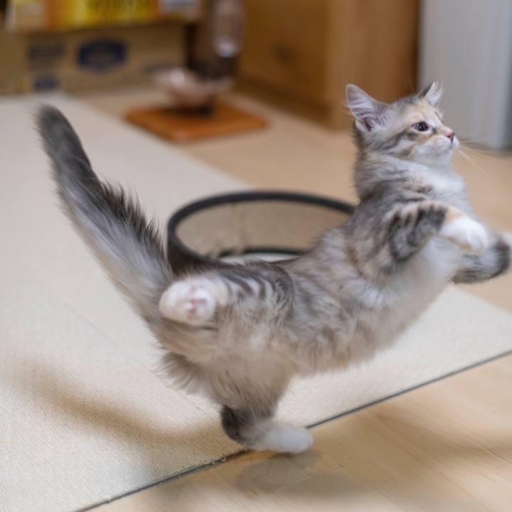 8c3c872c 0e40 4dac a75f bf0456605005 1537790117583