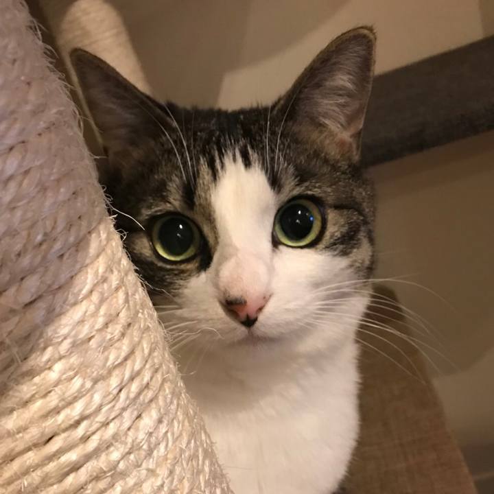 8c3cd8d7 9169 4318 a819 f5c50468f5cb 1523276073403