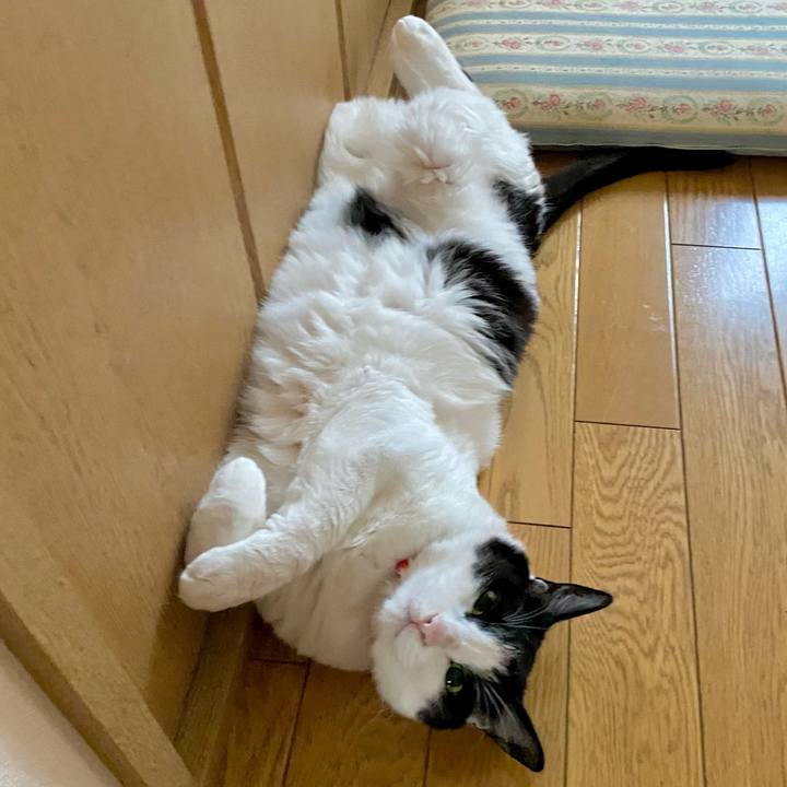 8c3cde90 2148 4232 bfce 1b5147e06e03 1660021819854