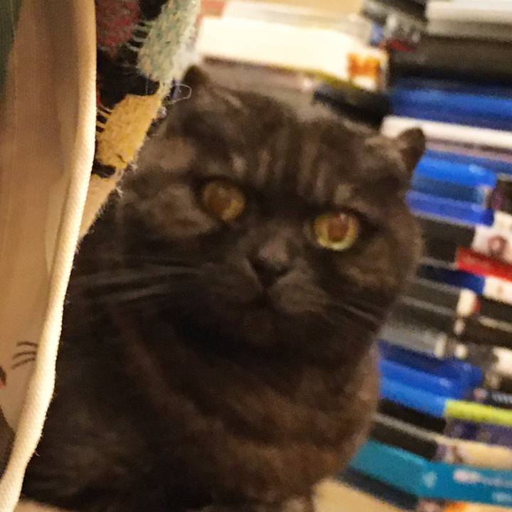 8c3ce366 2c3e 40c6 85b2 7bffe9c0a279 1587232244837