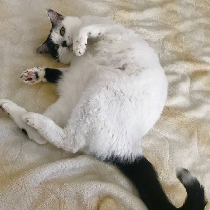 8c3d26ba d3b3 450f 9db9 e734f8e99db7 1567613031913