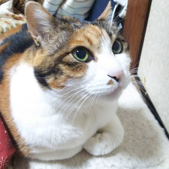 8c3d3cb2 7814 41c8 aedb f51c30b7a1dd 1549489733313