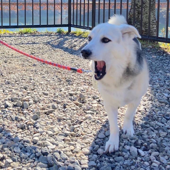 8c3d4d82 74fb 4bd1 a916 407a82090247 1669949454557