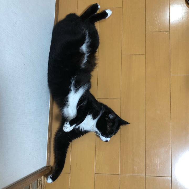 8c3d5e41 dc0f 484d 81ec e0321aaf8759 1658719553650