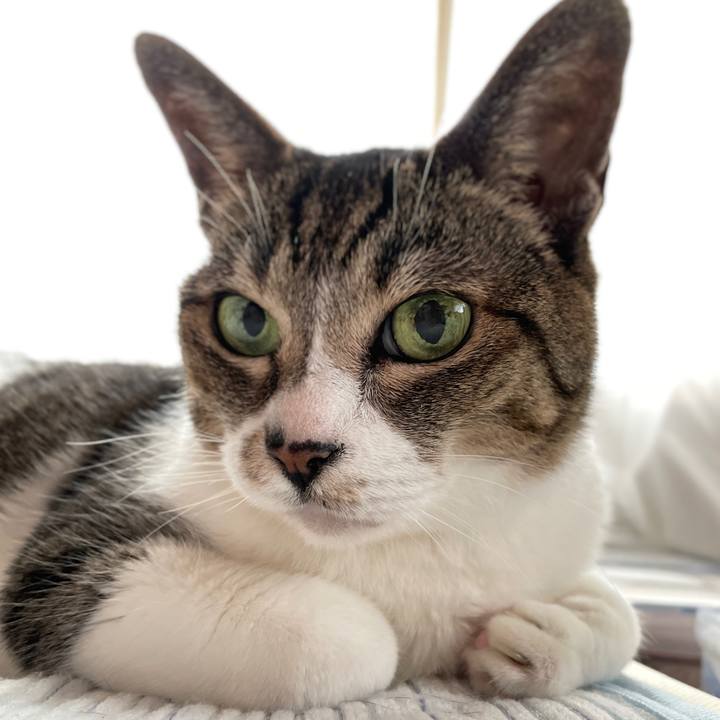 8c3d5eb1 342f 4b3a 88e5 2330ae4b71b2 1655516708842