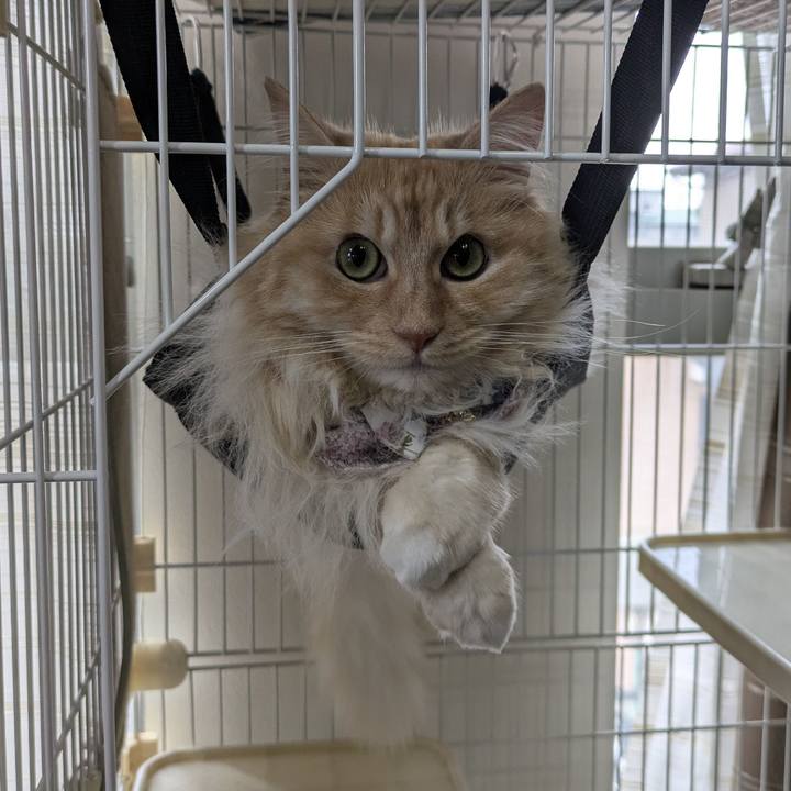 8c3dd637 ee89 4bf2 a635 d182f8eae6bb 1749862898330