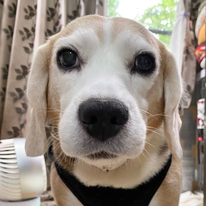 8c3e230d 2bb1 4fd2 bef3 575c93c43da5 1629085348014