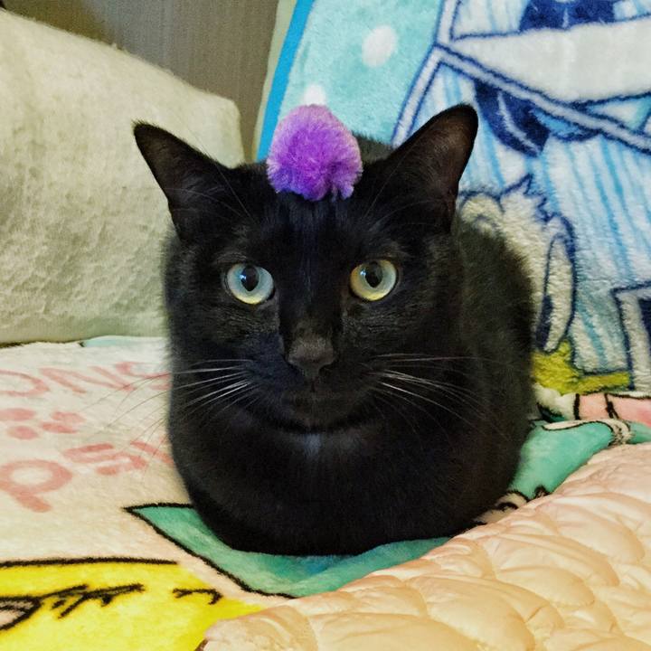 8c3e407c 17bf 4b3c 9acf a9542f557a52 1508634911383