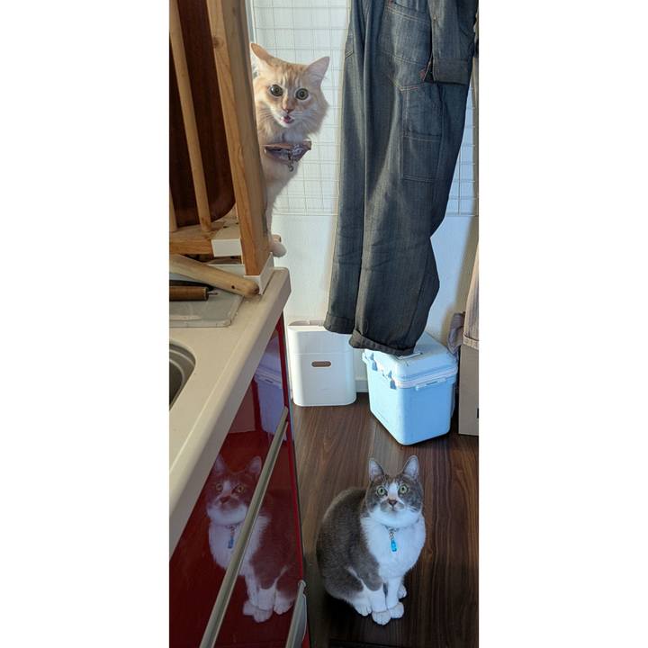 8c3e41c4 faa4 4fff 9589 66d8172c8de8 1732350316755