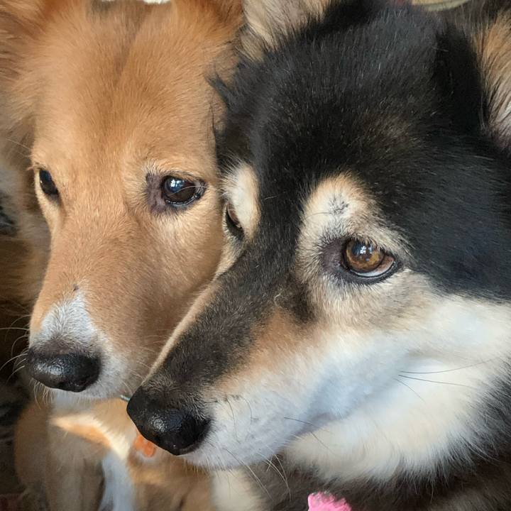 8c3eb6ea be24 480f a27d a8f7fee68fbe 1609641413099