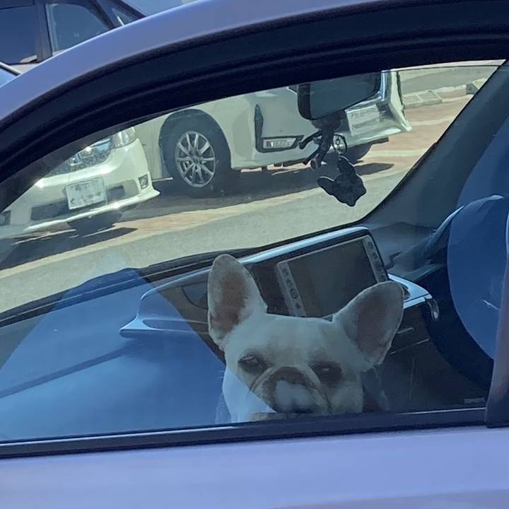 8c3eb76a 7ccf 47b6 9d74 fd62502bd6fc 1710924482613